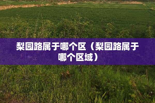 梨园路属于哪个区（梨园路属于哪个区域）