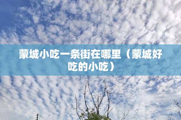 蒙城小吃一条街在哪里（蒙城好吃的小吃）