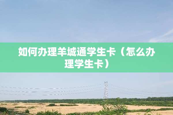 如何办理羊城通学生卡（怎么办理学生卡）