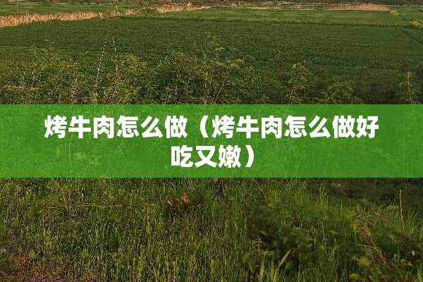 烤牛肉怎么做（烤牛肉怎么做好吃又嫩）