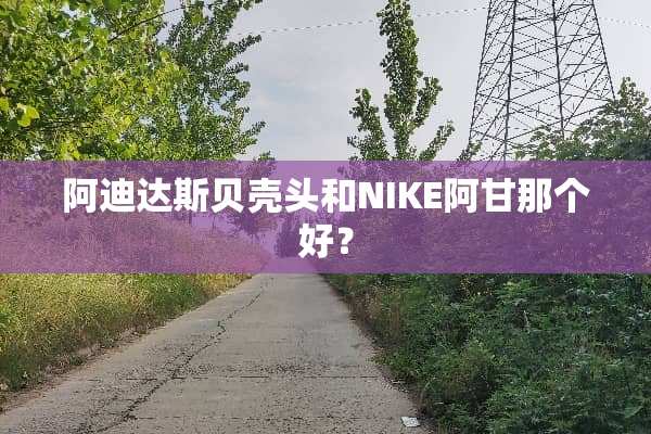 阿迪达斯贝壳头和NIKE阿甘那个好？