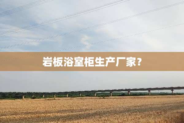 岩板浴室柜生产厂家？