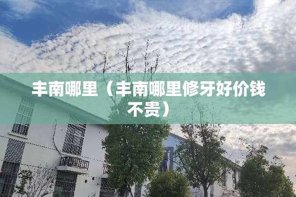 丰南哪里（丰南哪里修牙好价钱不贵）