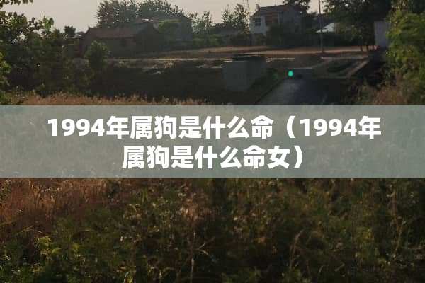 1994年属狗是什么命（1994年属狗是什么命女）