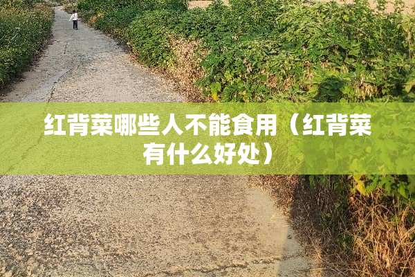 红背菜哪些人不能食用（红背菜有什么好处）