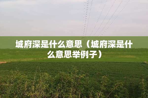 城府深是什么意思（城府深是什么意思举例子）