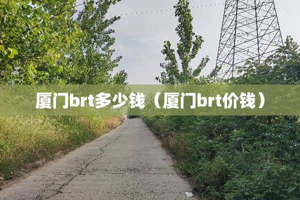 厦门brt多少钱（厦门brt价钱）