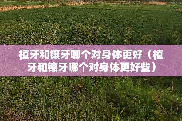 植牙和镶牙哪个对身体更好（植牙和镶牙哪个对身体更好些）
