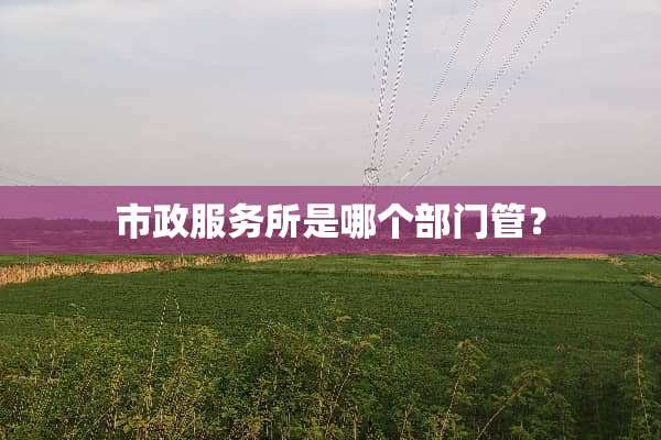 市政服务所是哪个部门管？
