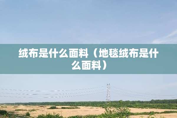绒布是什么面料（地毯绒布是什么面料）