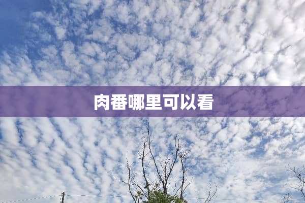 肉番哪里可以看