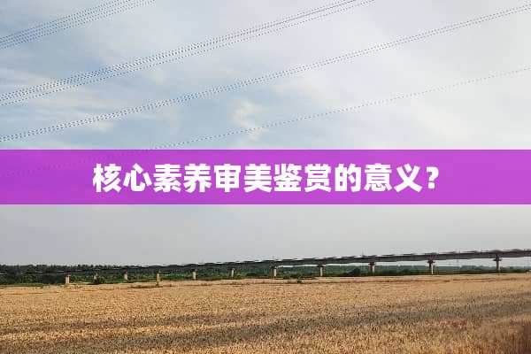 核心素养审美鉴赏的意义？