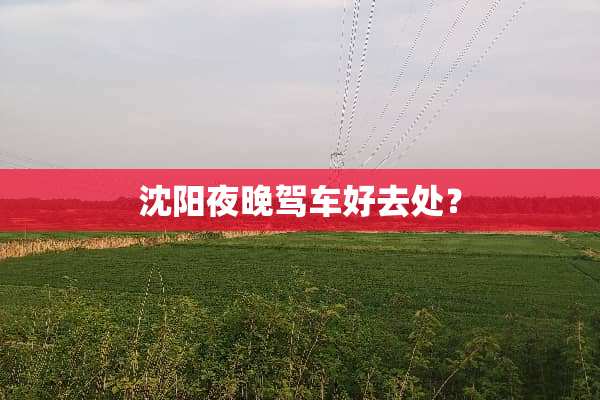 沈阳夜晚驾车好去处？