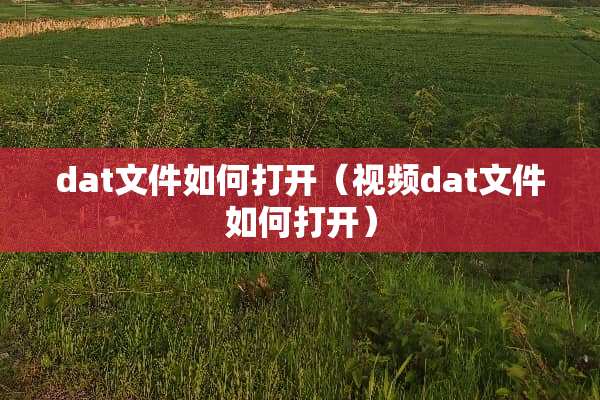 dat文件如何打开（视频dat文件如何打开）