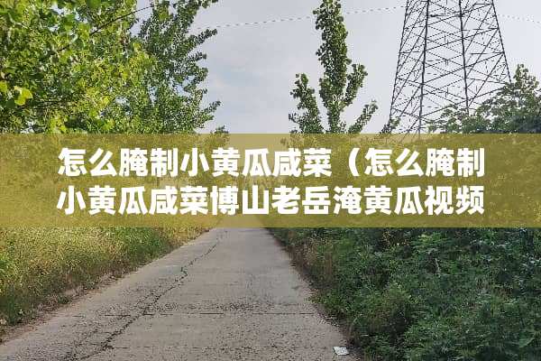 怎么腌制小黄瓜咸菜（怎么腌制小黄瓜咸菜博山老岳淹黄瓜视频）