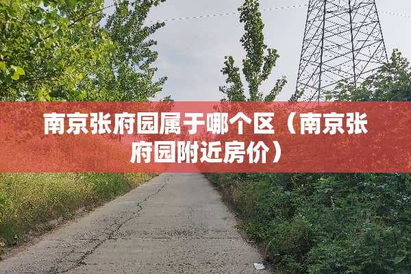 南京张府园属于哪个区（南京张府园附近房价）