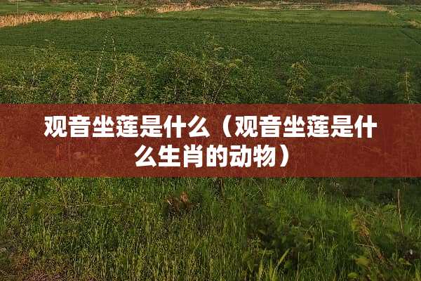 观音坐莲是什么（观音坐莲是什么生肖的动物）