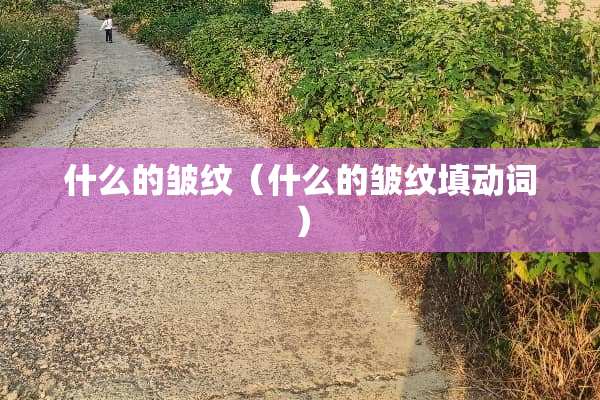 什么的皱纹（什么的皱纹填动词）