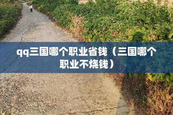 qq三国哪个职业省钱（三国哪个职业不烧钱）