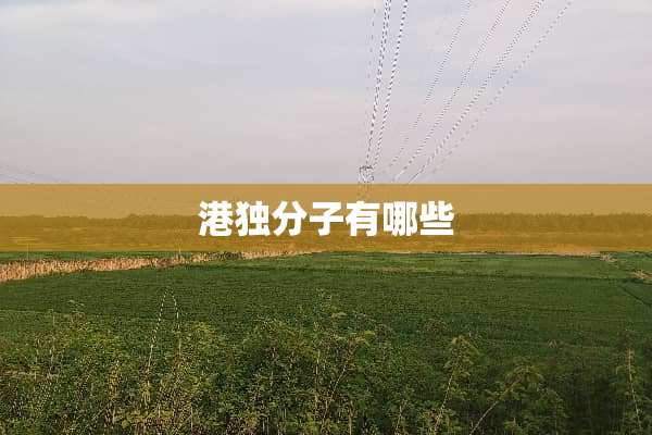 港独分子有哪些