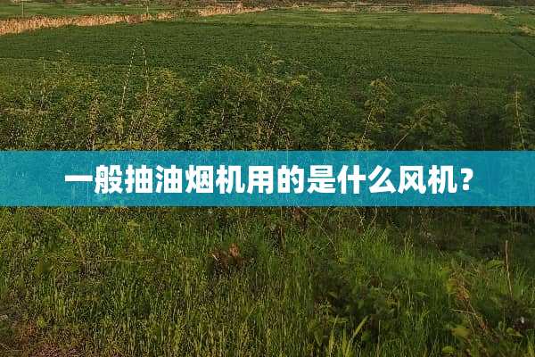 一般抽油烟机用的是什么风机？