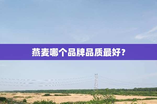 燕麦哪个品牌品质最好？