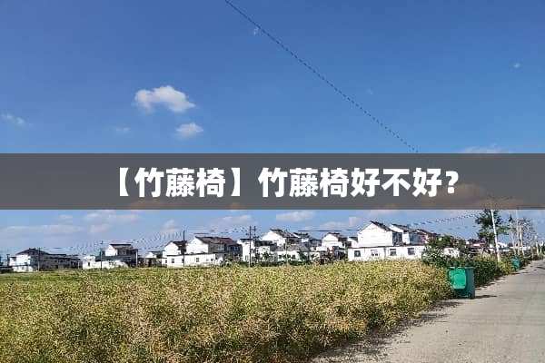 【竹藤椅】竹藤椅好不好？