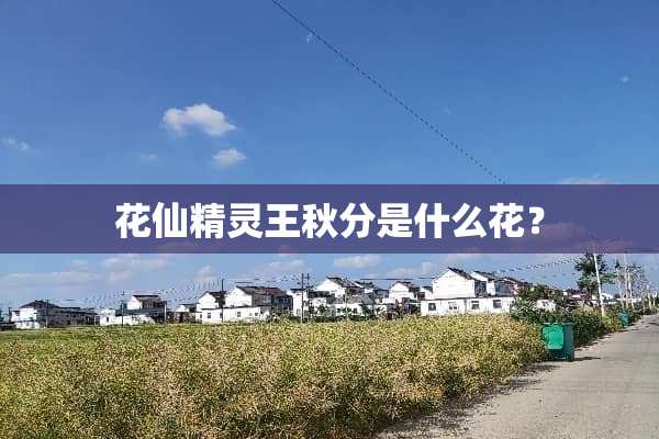 花仙精灵王秋分是什么花？
