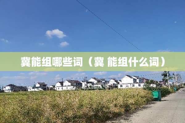 冀能组哪些词（冀 能组什么词）