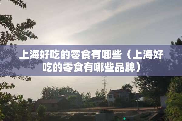 上海好吃的零食有哪些（上海好吃的零食有哪些品牌）