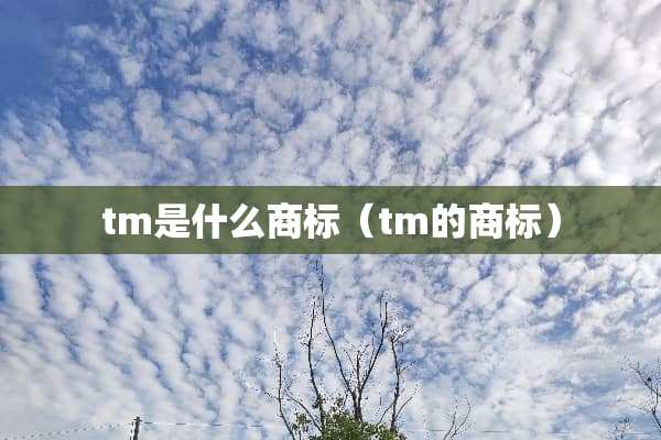 tm是什么商标（tm的商标）
