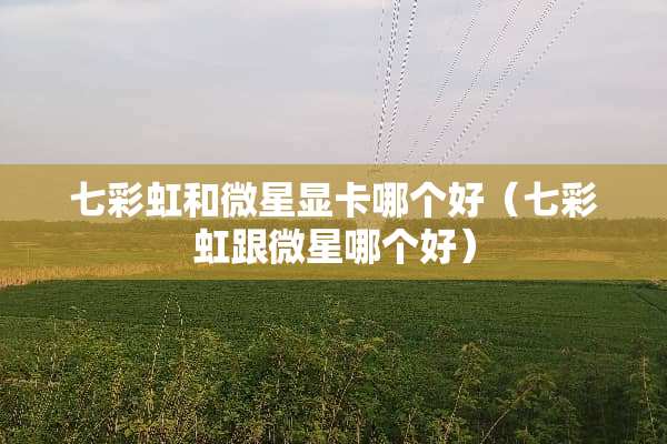 七彩虹和微星显卡哪个好（七彩虹跟微星哪个好）