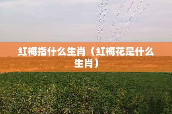 红梅指什么生肖（红梅花是什么生肖）
