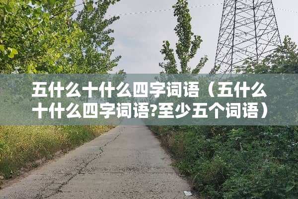 五什么十什么四字词语（五什么十什么四字词语?至少五个词语）