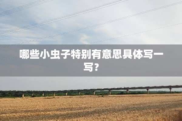 哪些小虫子特别有意思具体写一写？