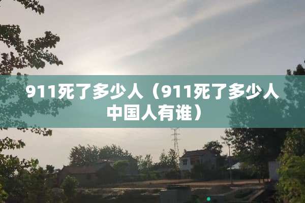 911死了多少人（911死了多少人中国人有谁）