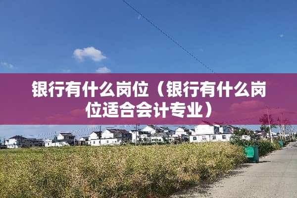 银行有什么岗位（银行有什么岗位适合会计专业）