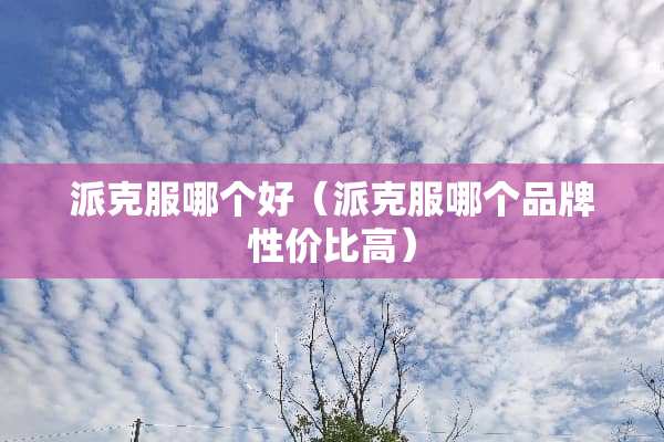 派克服哪个好（派克服哪个品牌性价比高）