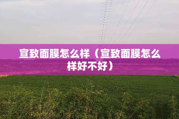 宣致面膜怎么样（宣致面膜怎么样好不好）