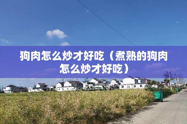 狗肉怎么炒才好吃（煮熟的狗肉怎么炒才好吃）