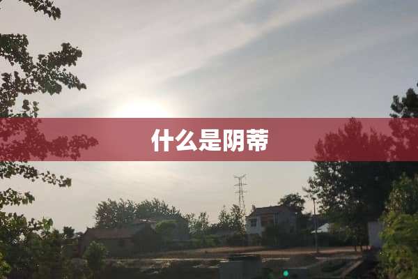 什么是*蒂