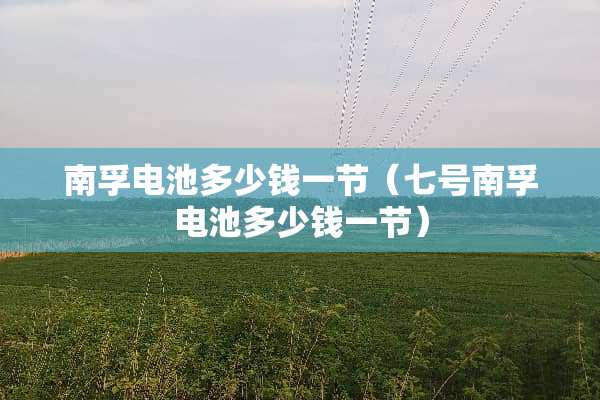 南孚电池多少钱一节（七号南孚电池多少钱一节）