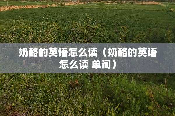 奶酪的英语怎么读（奶酪的英语怎么读 单词）