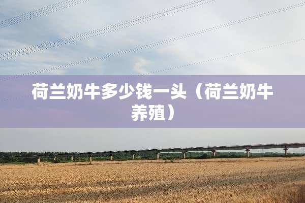 荷兰奶牛多少钱一头（荷兰奶牛养殖）