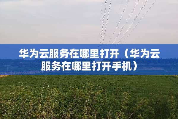 华为云服务在哪里打开（华为云服务在哪里打开手机）