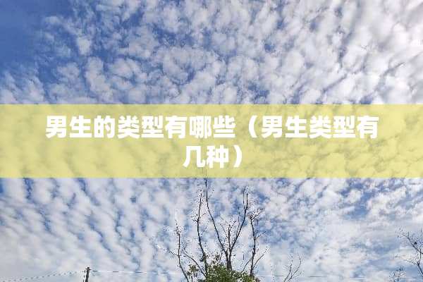 男生的类型有哪些（男生类型有几种）