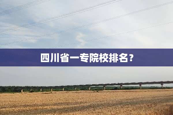 四川省一专院校排名？