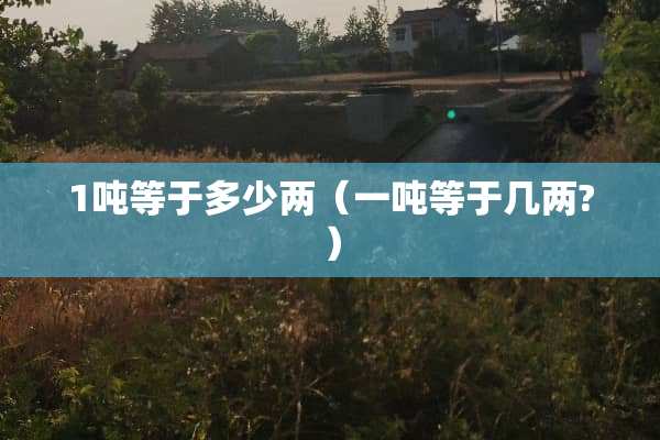 1吨等于多少两（一吨等于几两?）