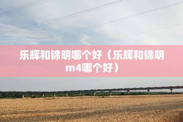 乐辉和锦明哪个好（乐辉和锦明m4哪个好）