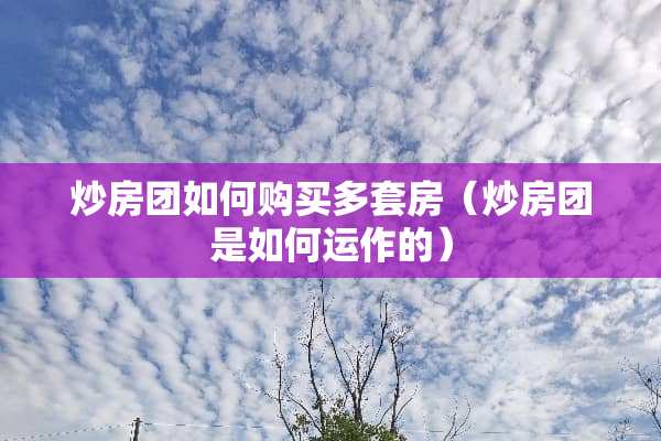 炒房团如何购买多套房（炒房团是如何运作的）